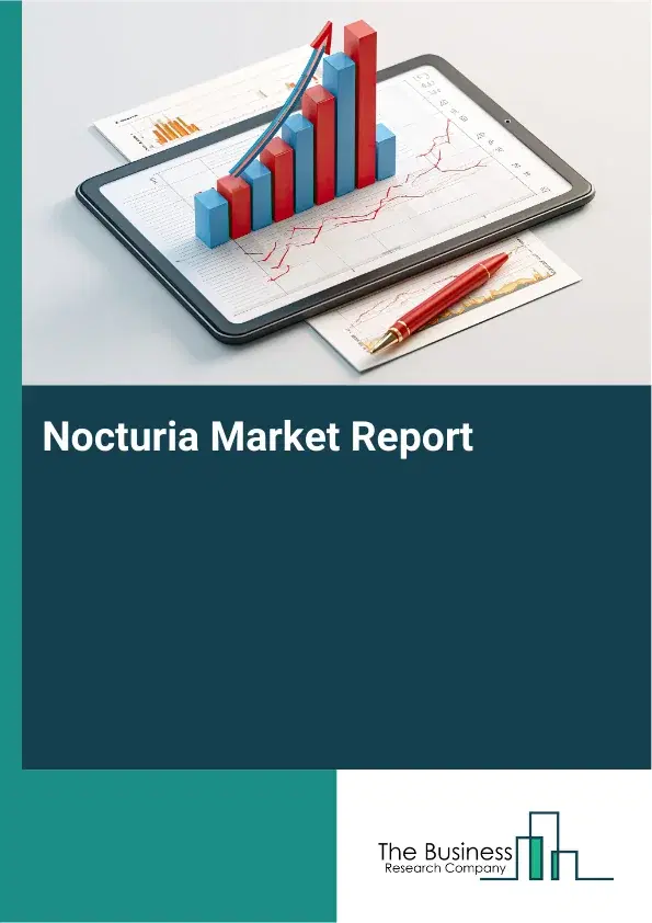 Global Nocturia Market Report 2026