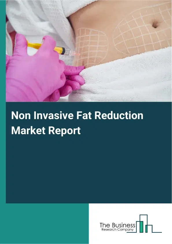Global Non Invasive Fat Reduction Market Report 2026