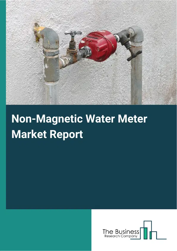 Global Non-Magnetic Water Meter Market Report 2026