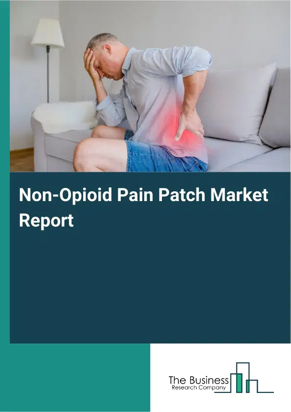 Global Non-Opioid Pain Patch Market Report 2026