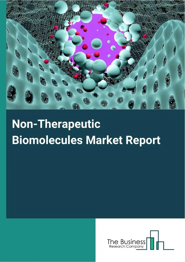 Global Non-Therapeutic Biomolecules Market Report 2026