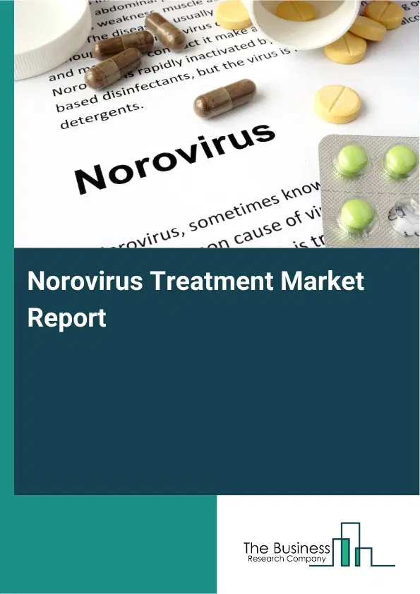 Global Norovirus Treatment Market Report 2026