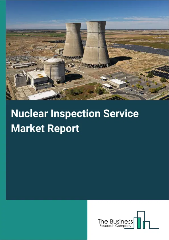Global Nuclear Inspection Service Market Report 2026