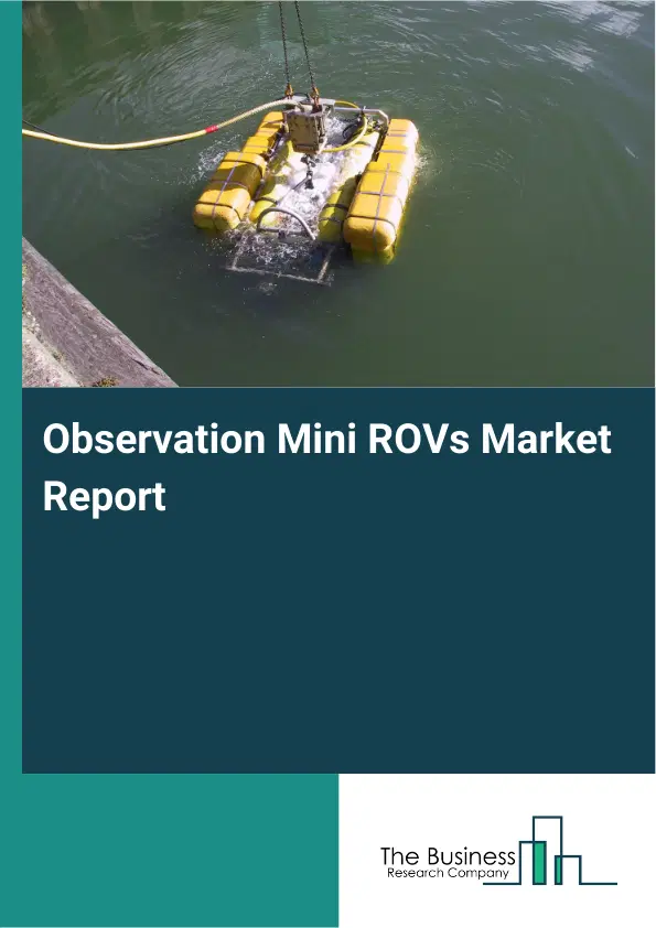 Global Observation Mini ROVs Market Report 2026