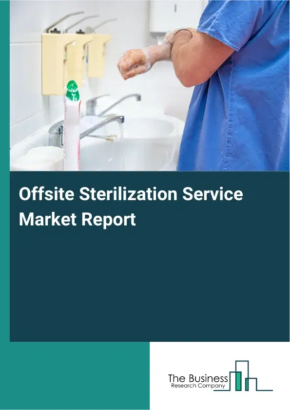 Global Offsite Sterilization Service Market Report 2026