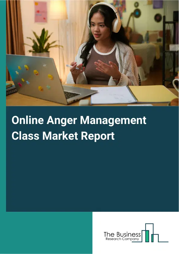 Global Online Anger Management Class Market Report 2026