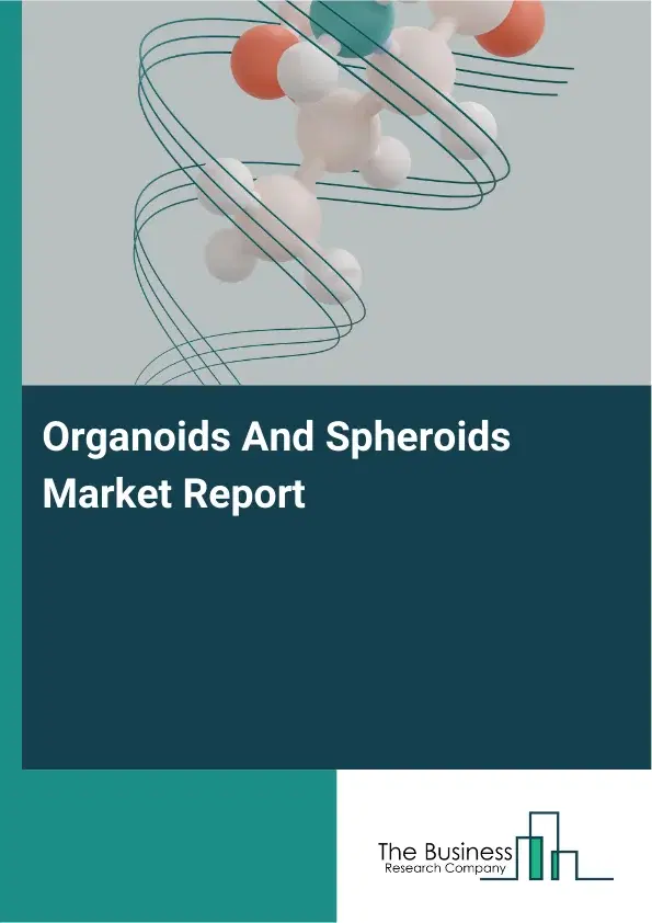 Global Organoids And Spheroids Market Report 2026