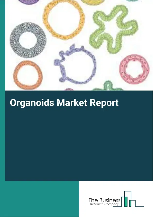 Global Organoids Market Report 2026