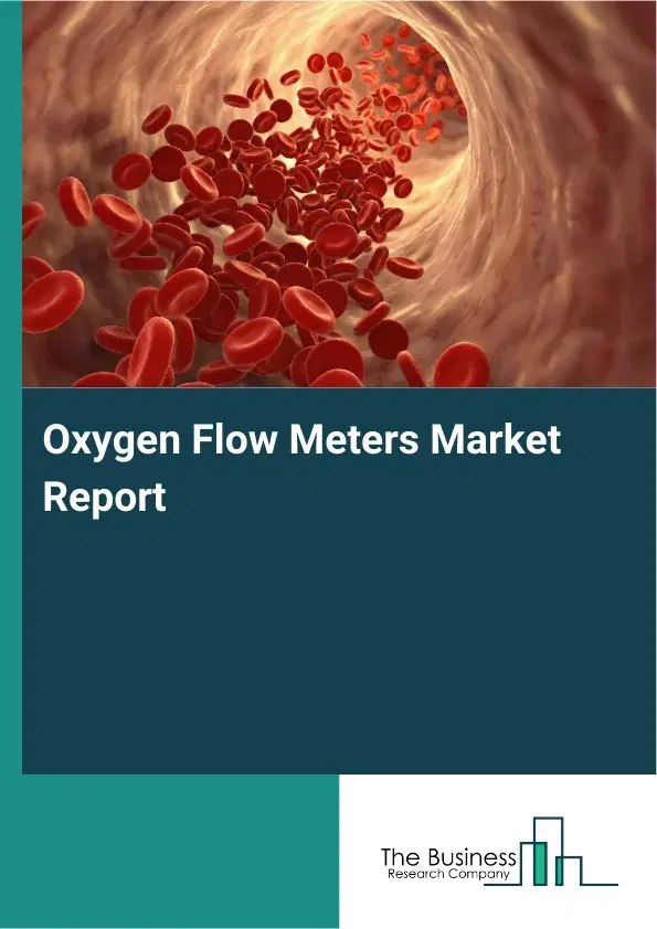 Global Oxygen Flow Meters Market Report 2026