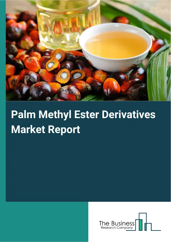 Global Palm Methyl Ester Derivatives Market Report 2026