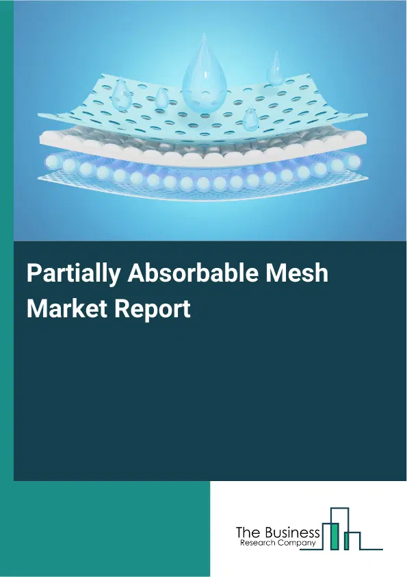 Global Partially Absorbable Mesh Market Report 2026