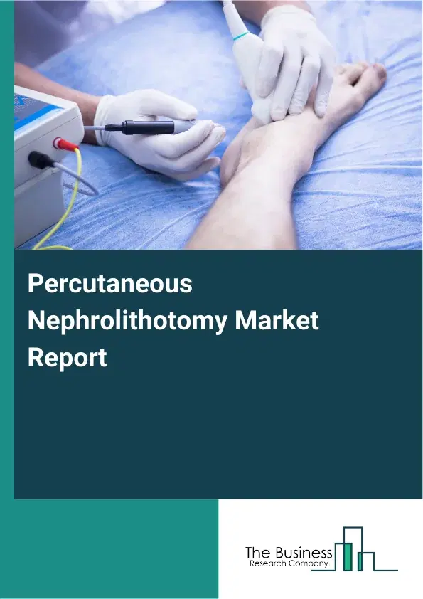 Global Percutaneous Nephrolithotomy Market Report 2026