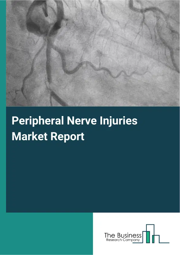 Global Peripheral Nerve Injuries Market Report 2026