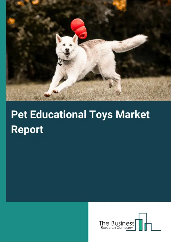 Global Pet Educational Toys Market Report 2026