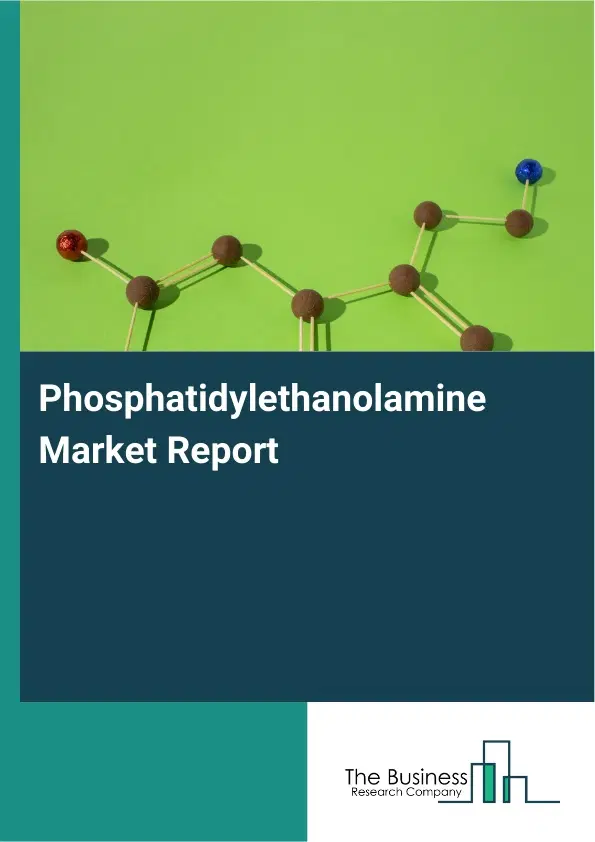 Global Phosphatidylethanolamine Market Report 2026