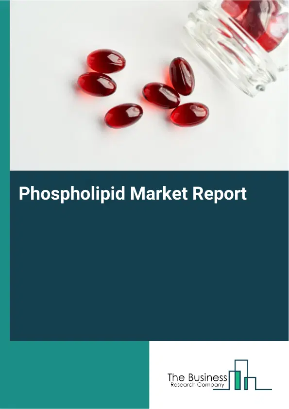 Global Phospholipid Market Report 2026
