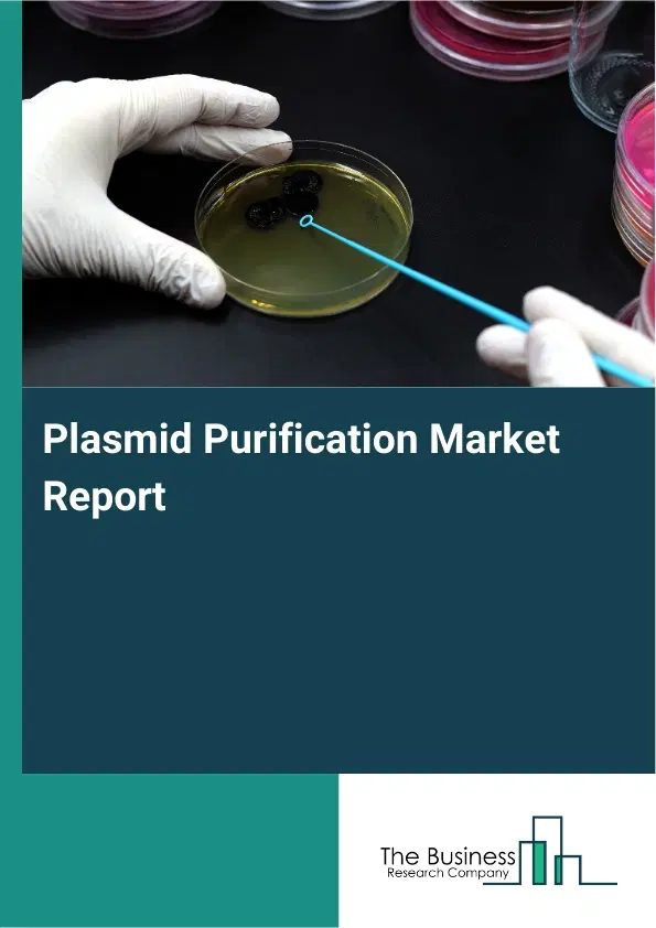 Global Plasmid Purification Market Report 2026