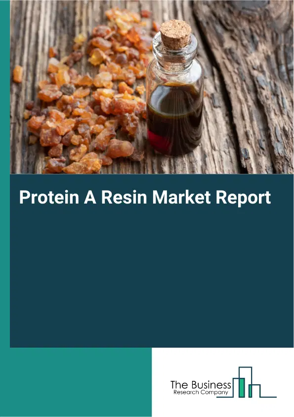 Global Protein A Resin Market Report 2026