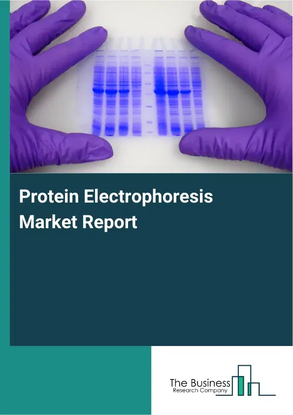 Global Protein Electrophoresis Market Report 2026