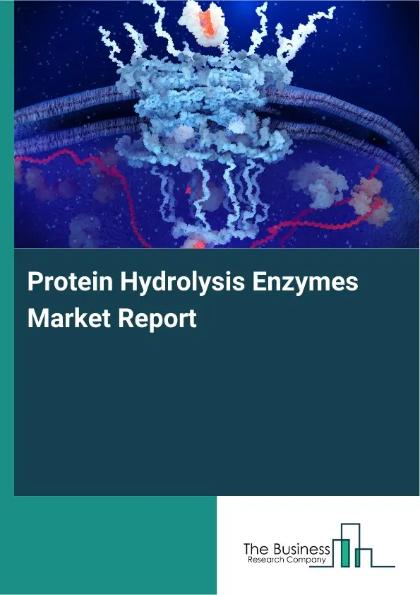 Global Protein Hydrolysis Enzymes Market Report 2026