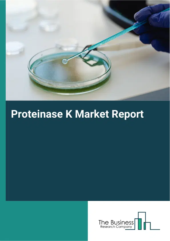 Global Proteinase K Market Report 2026
