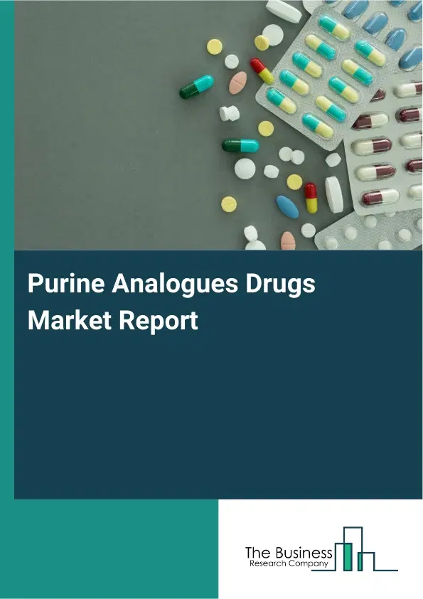 Global Purine Analogues Drugs Market Report 2026