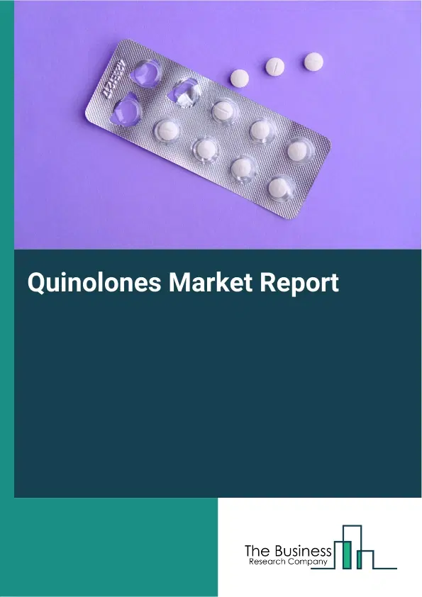 Global Quinolones Market Report 2026
