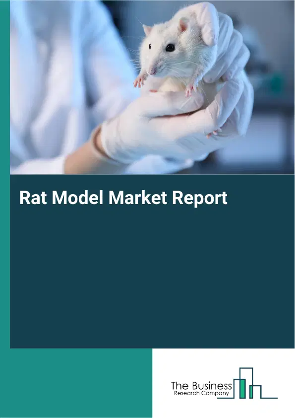 Global Rat Model Market Report 2026
