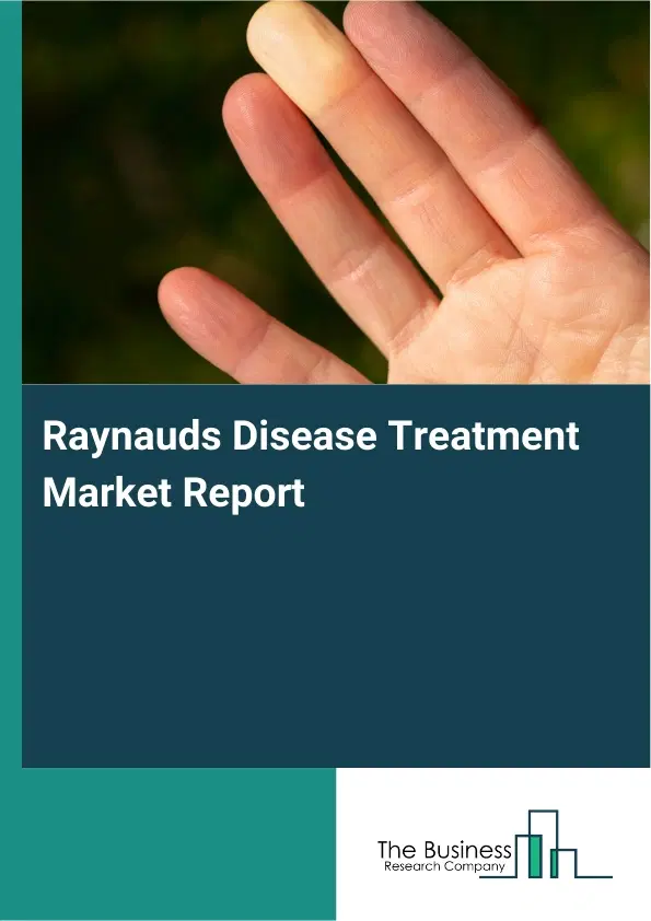 Global Raynauds Disease Treatment Market Report 2026