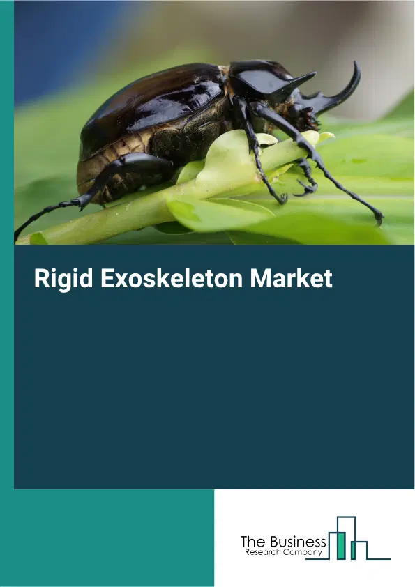 Rigid Exoskeleton Market Report 2026
