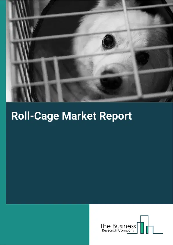 Global Roll-Cage Market Report 2026