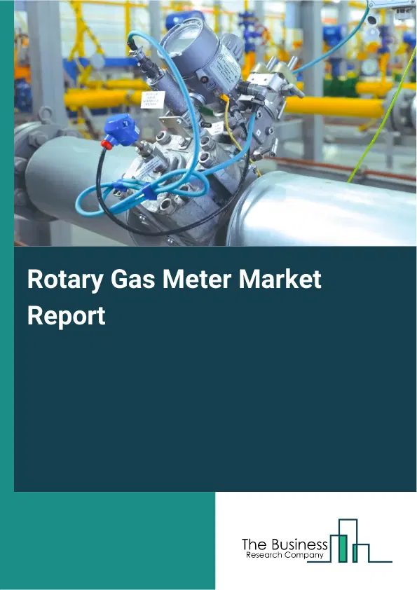 Global Rotary Gas Meter Market Report 2026