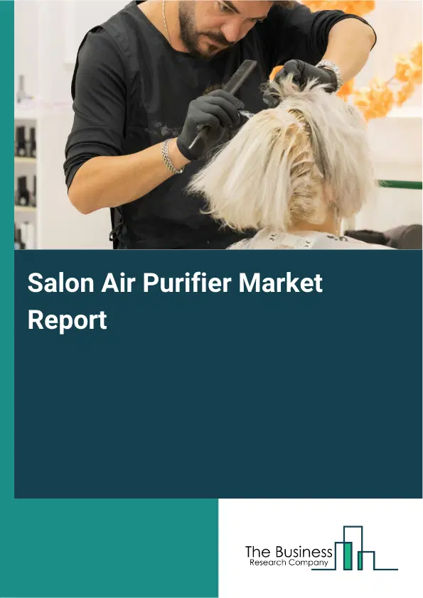 Global Salon Air Purifier Market Report 2026
