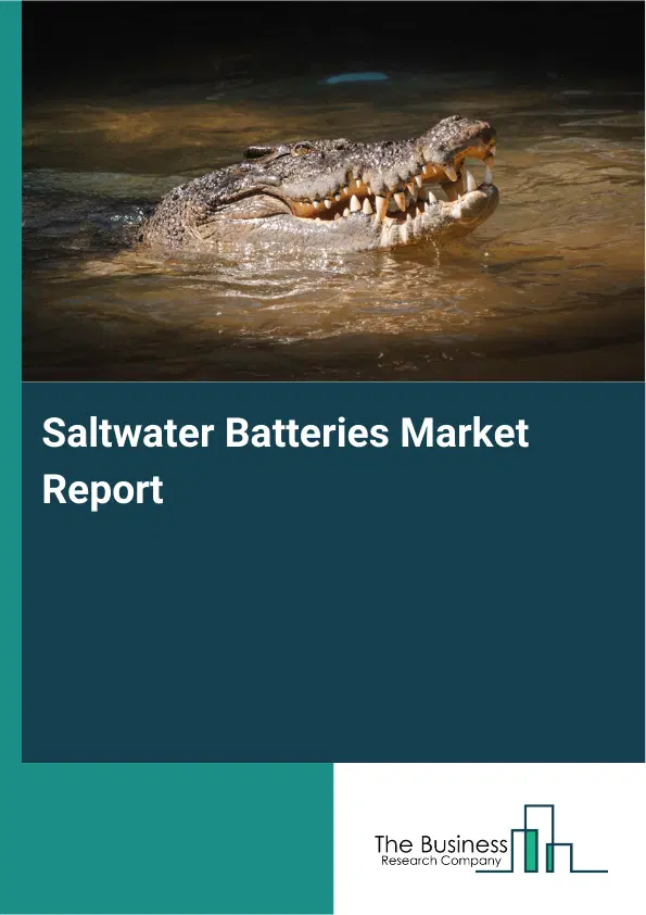 Global Saltwater Batteries Market Report 2026