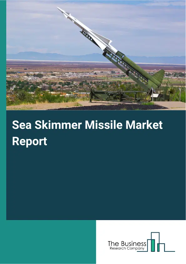 Global Sea Skimmer Missile Market Report 2026