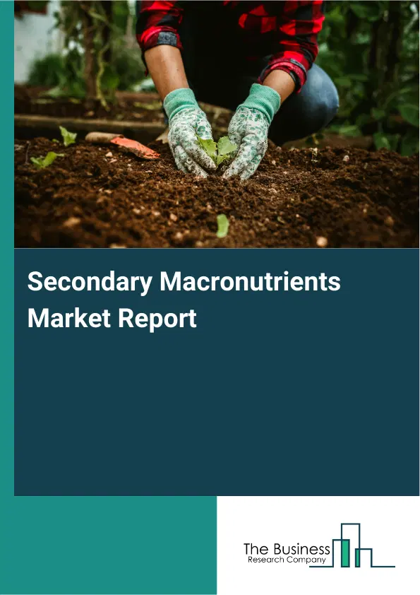 Global Secondary Macronutrients Market Report 2026