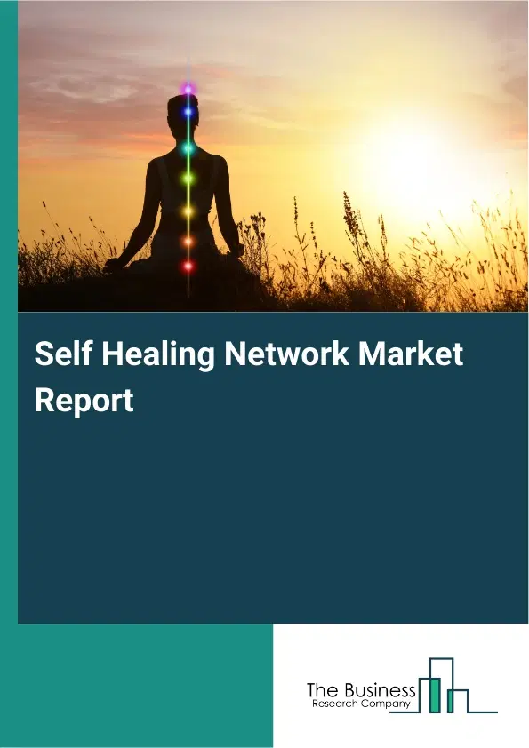 Global Self Healing Network Market Report 2026