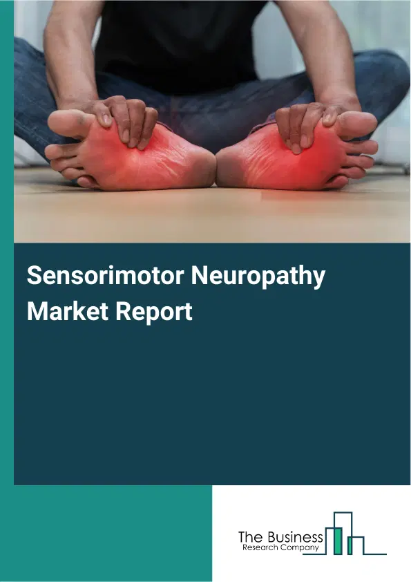 Global Sensorimotor Neuropathy Market Report 2026