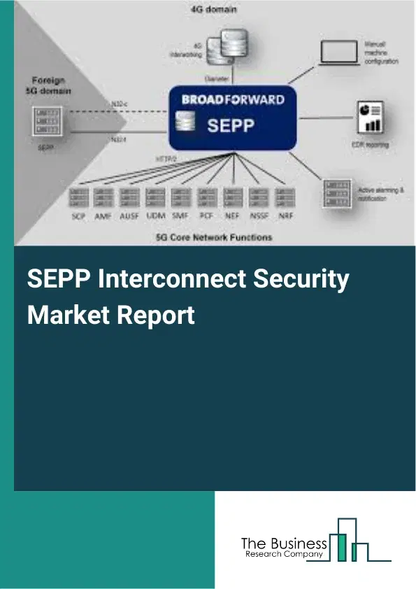 Global SEPP Interconnect Security Market Report 2026