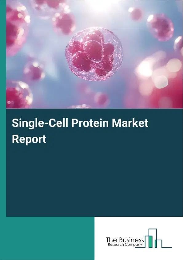 Global Single-Cell Protein Market Report 2026