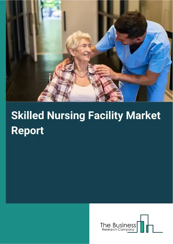 Global Skilled Nursing Facility Market Report 2026
