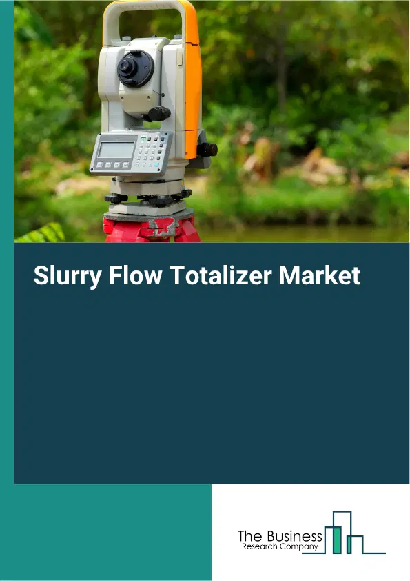 Slurry Flow Totalizer Market Report 2026