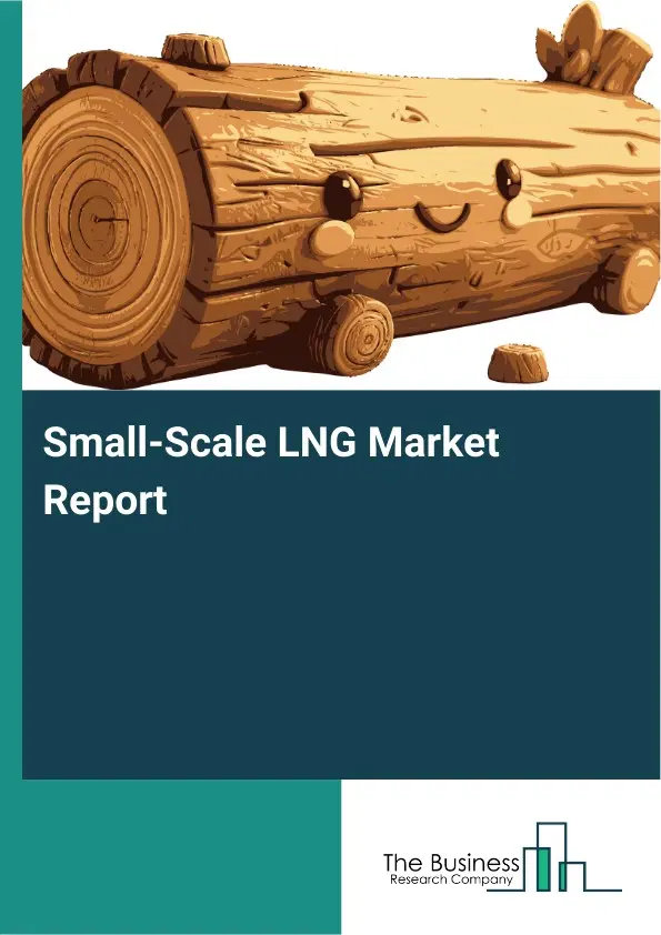 Global Small-Scale LNG Market Report 2026