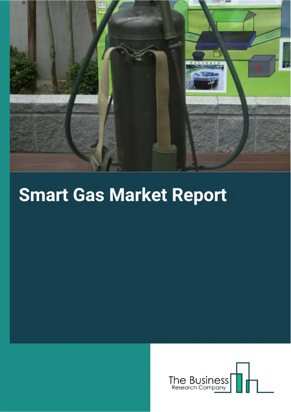 Global Smart Gas Market Report 2026