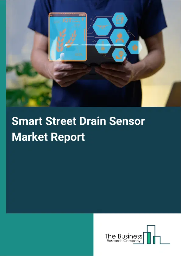 Global Smart Street Drain Sensor Market Report 2026