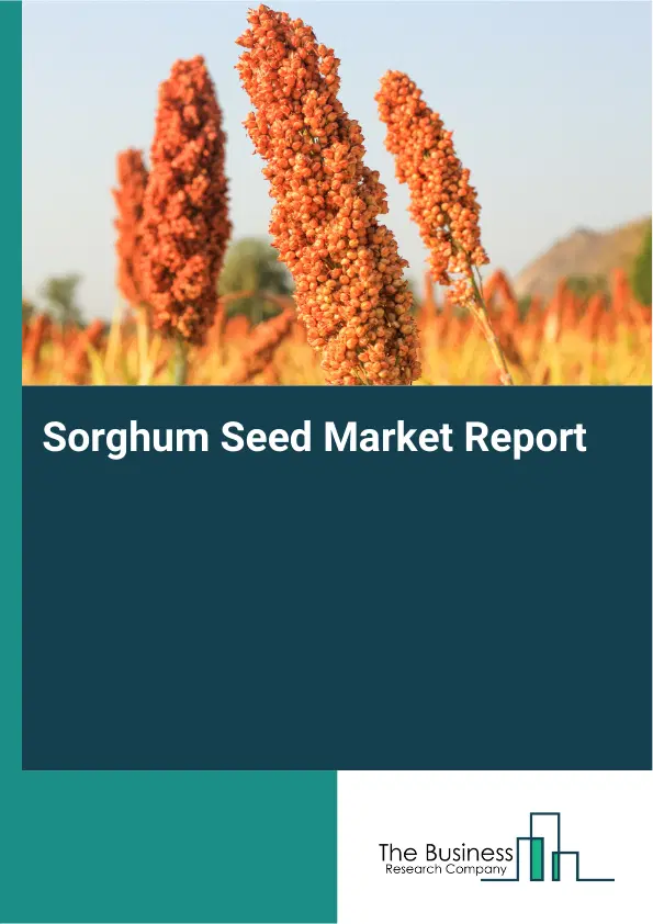 Global Sorghum Seed Market Report 2026