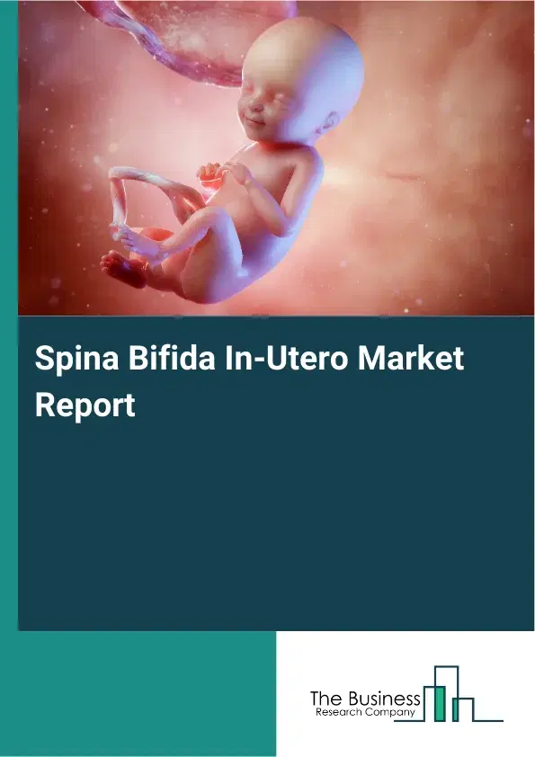 Global Spina Bifida In-Utero Market Report 2026