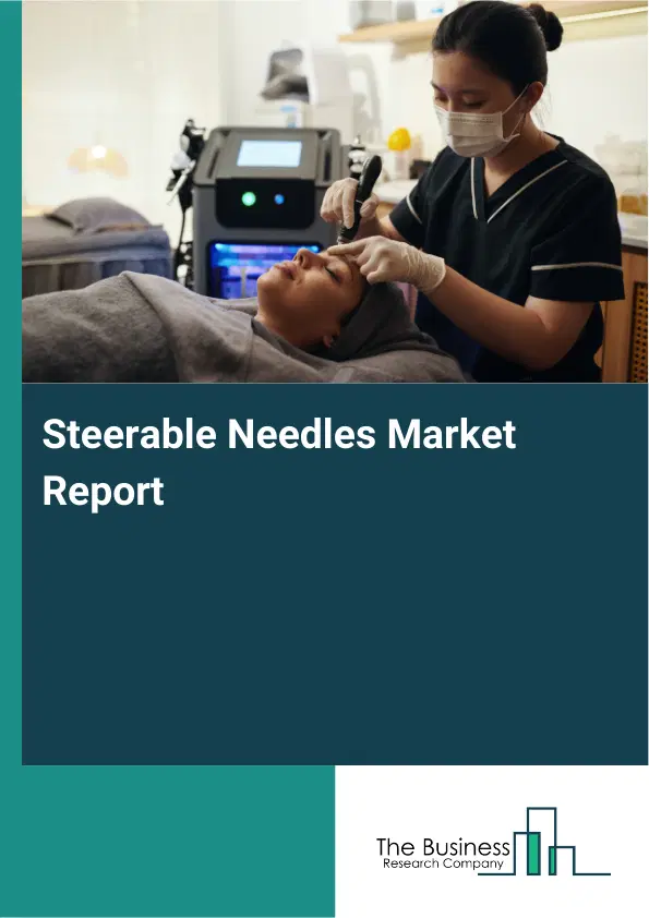 Global Steerable Needles Market Report 2026