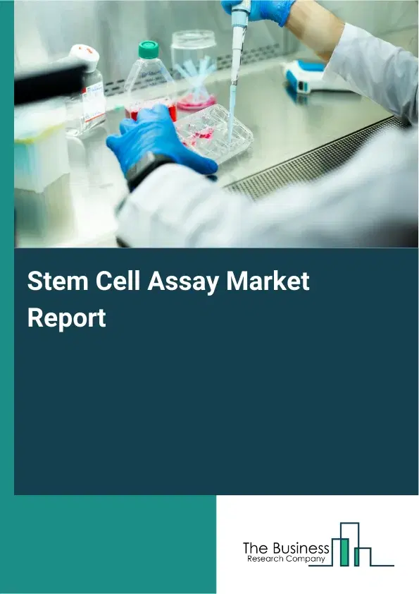 Global Stem Cell Assay Market Report 2026