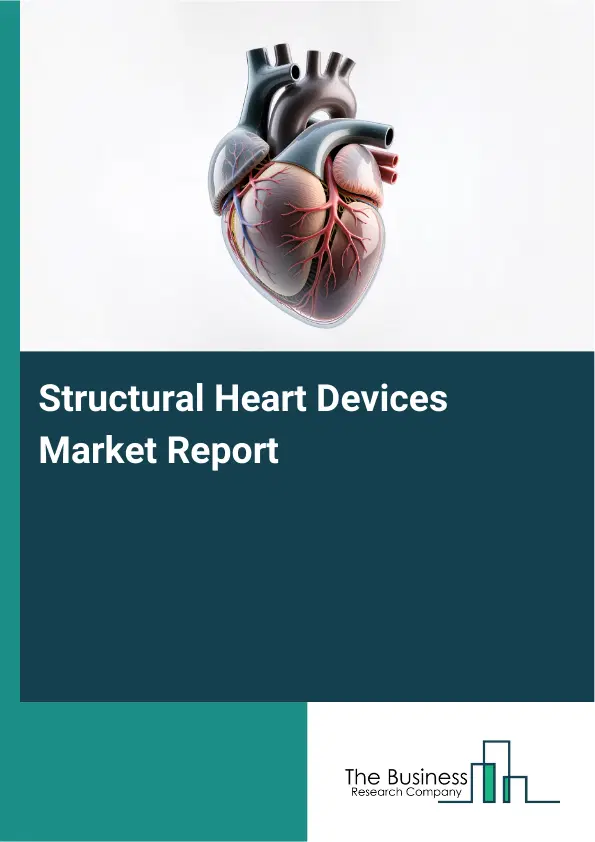 Global Structural Heart Devices Market Report 2026